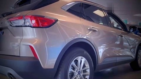 全职猎人剧场版：绯色的幻影