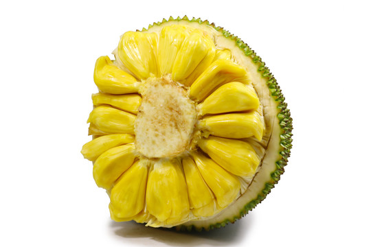 兵临城下·虎贲