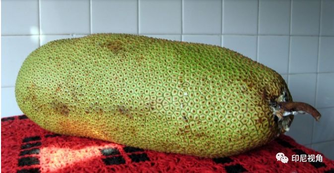 兴安岭猎人传说