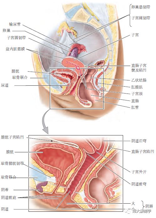 全面失控:跌落神坛的美式潮牌